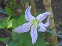 026.webp