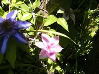 BILD0081.webp
