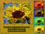 sonnenblume animiert.gif