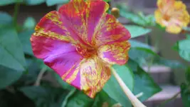 019.webp