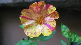 022.webp