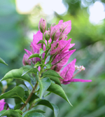 IMG_1038.webp