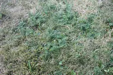 bild 2.webp