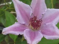 045.webp