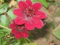 025.webp