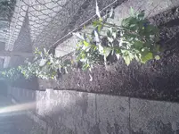 DSC00179.webp