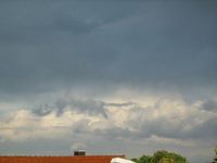 IMG_2556.webp