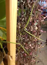 DSC08831.webp
