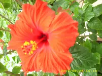 JD500005.webp
