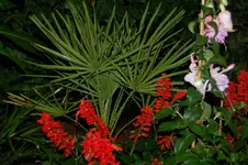 DSC_2790.webp