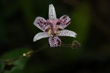 DSC_2780.webp