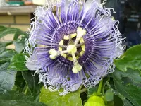 IMGP2122.webp