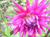 JD500216.webp