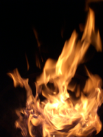 CIMG4952.webp