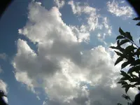 2009  Garten - 8 - 137.webp