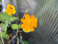 IMGP2126.webp