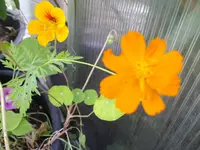 IMGP2129.webp