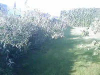 IMAGE_084.webp