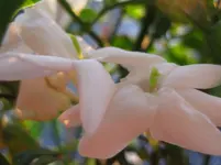 021.webp
