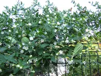 2_fruechte.webp