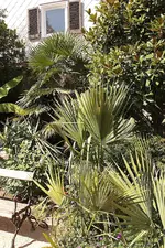 IMG_1148.webp