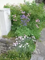 20090510_8218.webp