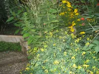 IMG_0198.webp