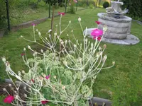 IMG_0200.webp