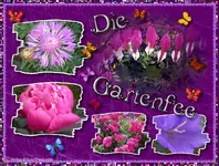 collage_ise.webp