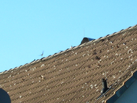IMG_2569.webp