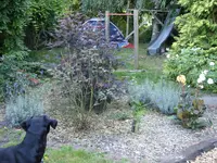 Blumen 072.webp