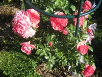 014.webp