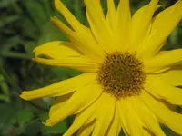 023.webp