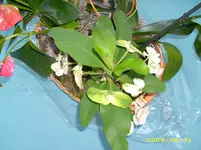 DSCI0687.webp