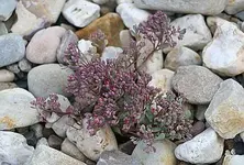 IMG_4773.webp