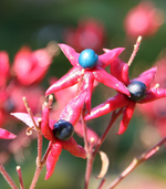 IMG_1232.webp