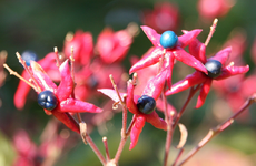 IMG_1233.webp