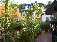 Garten September09 017.webp