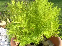 BILD1510.webp