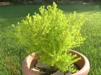 BILD1511.webp
