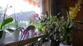 K800_Blick vom Schreibtisch.webp