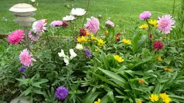 K800_Sommerausklang.webp