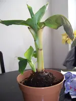 100_3517.webp