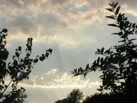 2009  Garten - 9 - 041.webp