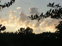 2009  Garten - 9 - 043.webp