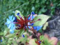 S4300028.webp