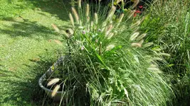 003.webp