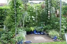 Rosentempel1017.webp