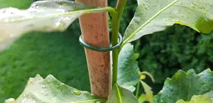 20170712_193139.webp