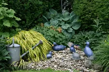 Brunnen0316.jpg
